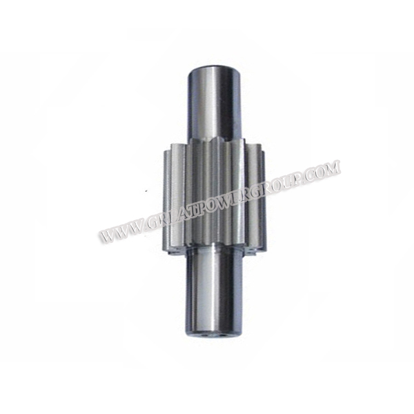 Precision Spur Gear Shaft